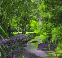 Esk Caravan Park  Rail Trail Motel - Grafton Accommodation