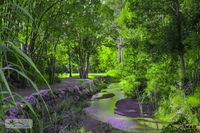 Book Esk Accommodation Vacations Grafton Accommodation Grafton Accommodation