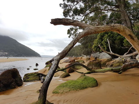 Fish Creek Alkira Accommodation - Grafton Accommodation 1