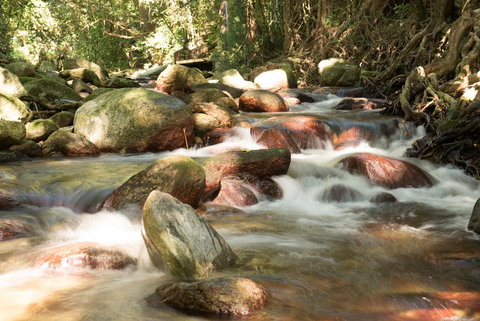 Fishery Falls Holiday Park - Grafton Accommodation 1