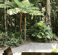 Forest Views Daintree - Grafton Accommodation