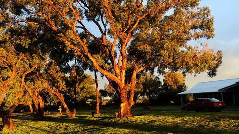 French Island Cottage - Grafton Accommodation 1