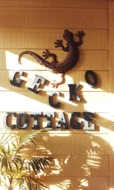 Gecko Cottage - Grafton Accommodation 3