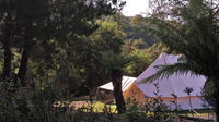 Book Zeehan Accommodation Vacations Grafton Accommodation Grafton Accommodation