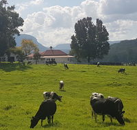 Glenmurray - Country farm stay - Grafton Accommodation