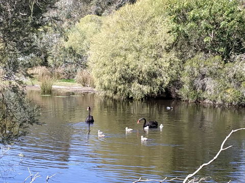 Gosnells Homestay - Grafton Accommodation 3
