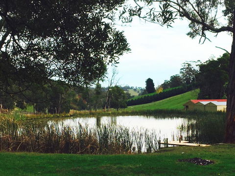 Gracefield Estate - Grafton Accommodation 0