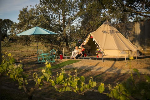 Grapevine Glamping - Grafton Accommodation 0