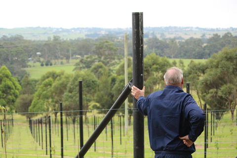 Gzone Farmstay - Grafton Accommodation 2