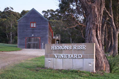 Herons Rise Vineyard Accommodation - Grafton Accommodation 0
