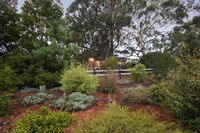 Book Pennyroyal Accommodation Vacations Grafton Accommodation Grafton Accommodation