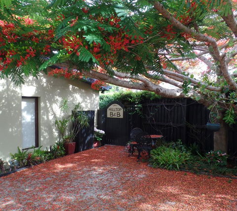 Hilltop B&B - Grafton Accommodation 2