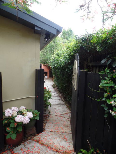 Hilltop B&B - Grafton Accommodation 3