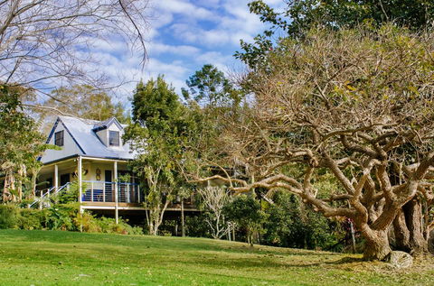 Jacaranda Cottages - Grafton Accommodation 0