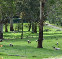 JAN'S ART STUDIO AT ASHBY RISE - Grafton Accommodation