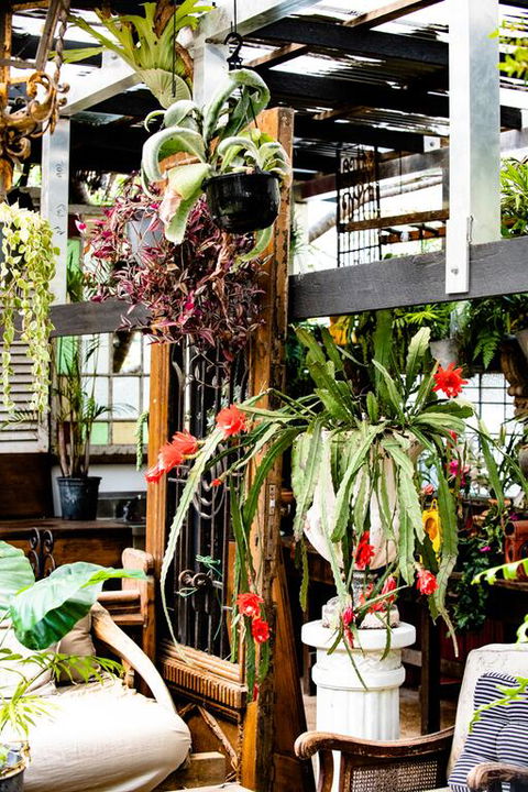 Jaspers Apartments - Grafton Accommodation 3