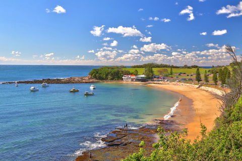 Joy's Hideaway - Grafton Accommodation 2