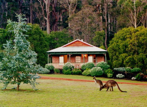 Karri Valley Chalets - Grafton Accommodation 0