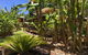 Kin Kin Cottage Retreat - thumb 3