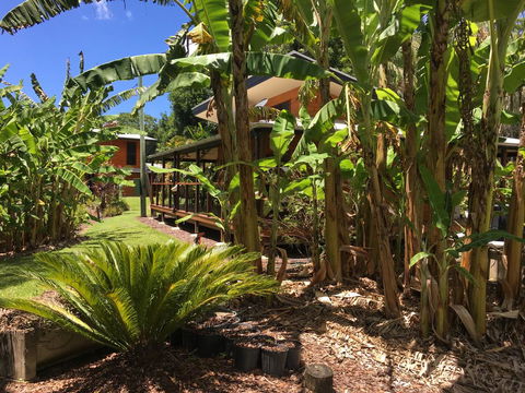 Kin Kin Cottage Retreat - Grafton Accommodation 3