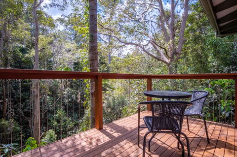 Kondalilla Eco Resort - Grafton Accommodation 3