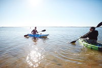 Book Lake Boga Accommodation Vacations Grafton Accommodation Grafton Accommodation