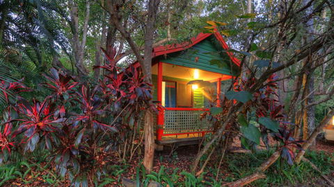 Lake Eacham Tourist Park & Cabins - Grafton Accommodation 3