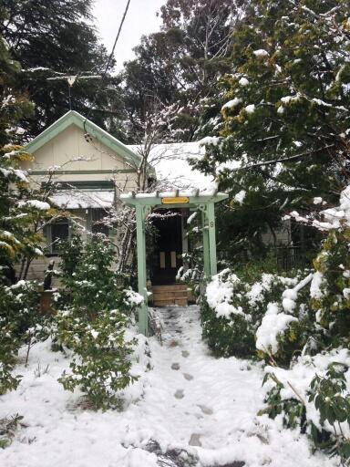 Lemon Tree Cottage - Grafton Accommodation 3