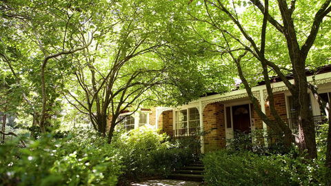 Leura Camellias - Grafton Accommodation 0