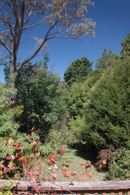 Leura Lady - Grafton Accommodation 3