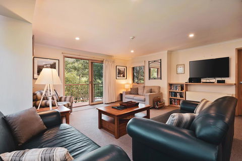 Lhotsky Apartments - Grafton Accommodation 2