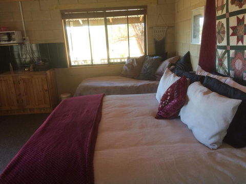 Lillicur Vineyard B&B - Grafton Accommodation 2