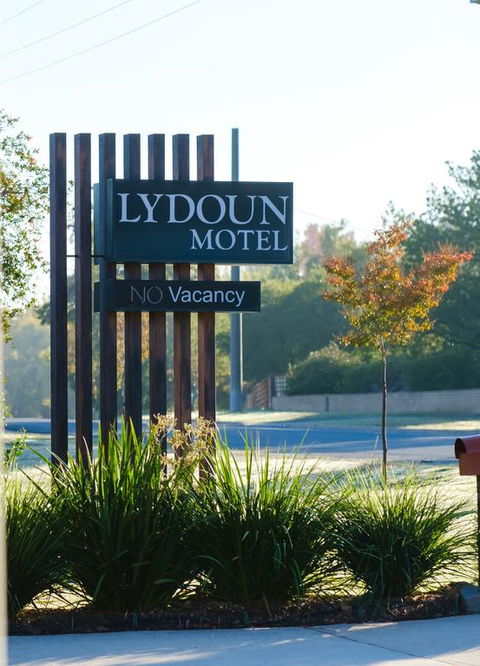 Lydoun Motel - Grafton Accommodation 3