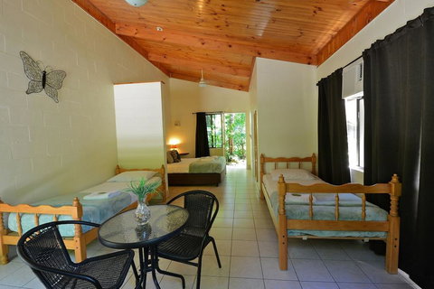Lync Haven Rainforest Retreat - Grafton Accommodation 2