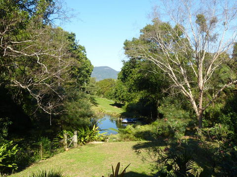 Magnolia Cottage - Grafton Accommodation 1