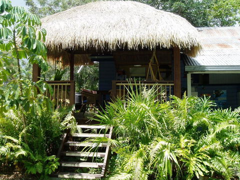 Mango Tourist Hostel - Grafton Accommodation 0