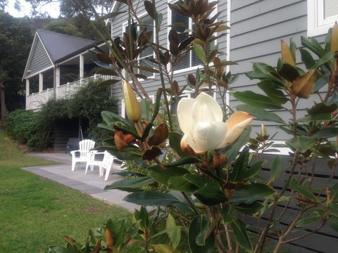 McCrae Lodge - Grafton Accommodation 1