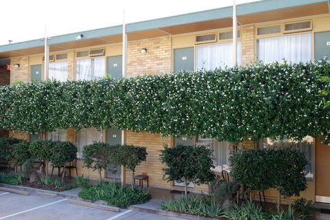 Mid City Motor Inn Queanbeyan - Grafton Accommodation 1