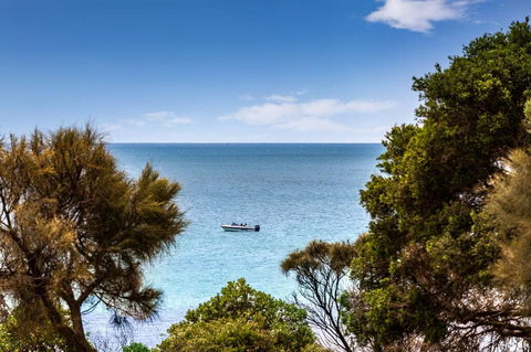 Mills Beach Retreat Luxury Family Retreat With Hydrotherapy Spa, Opposite Beach, Walk To Village - Grafton Accommodation 2