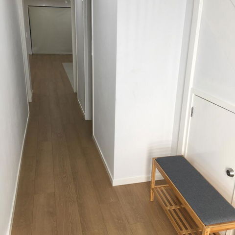 Minto Lodge - Grafton Accommodation 3