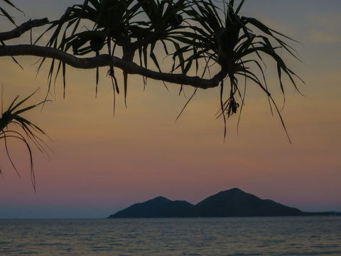 Mission Beach Hideaway Holiday Village - Grafton Accommodation 1