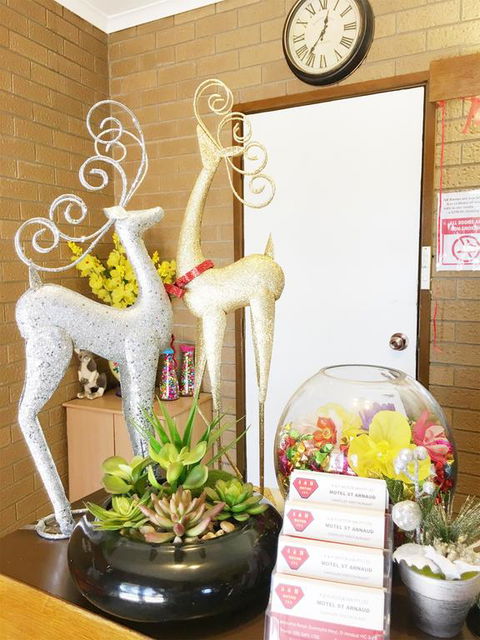 Motel St Arnaud - Grafton Accommodation 3