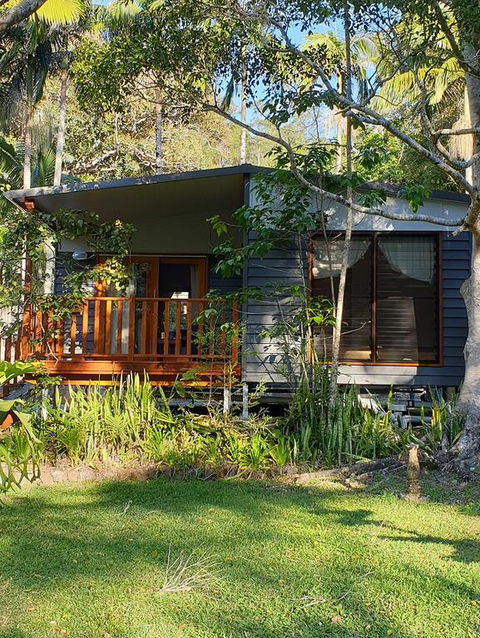 Mt Warning Rainforest Park - Grafton Accommodation 3