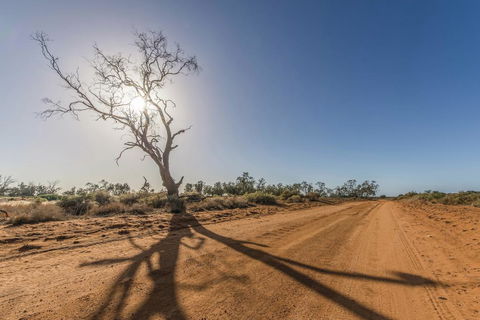 Mungo Shearers' Quarters - Grafton Accommodation 0