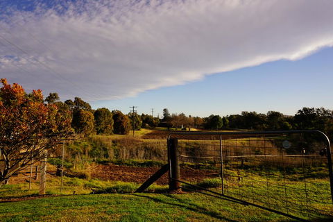 Muswellbrook Northside B&B - Grafton Accommodation 3