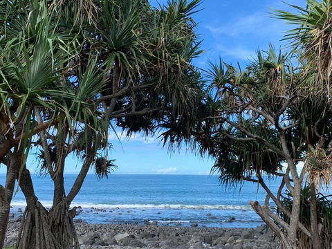 Nautilus Beachside Apartments - Grafton Accommodation 3