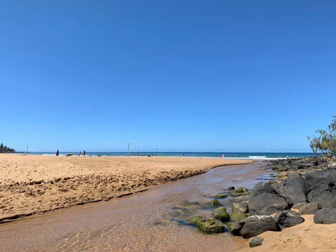 Nautilus Beachside Apartments - Grafton Accommodation 1