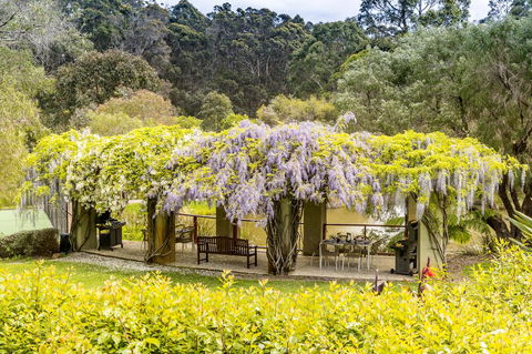 Grand Mercure Basildene Manor - Grafton Accommodation 7