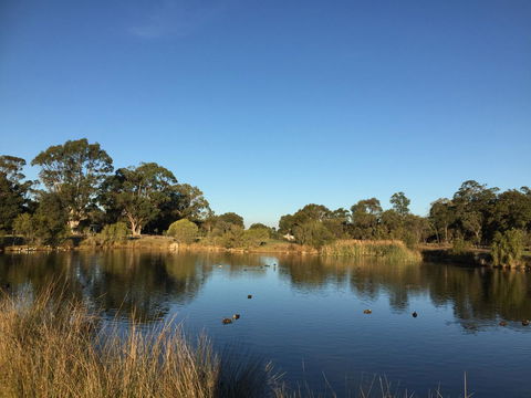 Lakeside Views - Grafton Accommodation 18