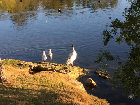 Lakeside Views - Grafton Accommodation 19